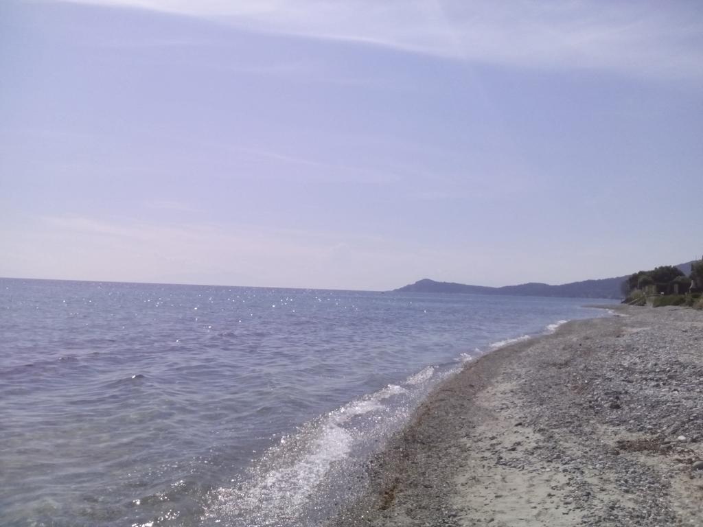 Νηρέας Διαμέρισμα Νέα Σκιώνη Εξωτερικό φωτογραφία