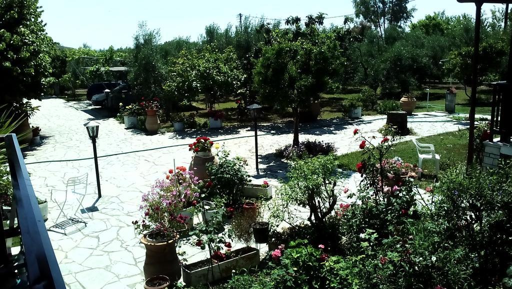 Νηρέας Διαμέρισμα Νέα Σκιώνη Εξωτερικό φωτογραφία