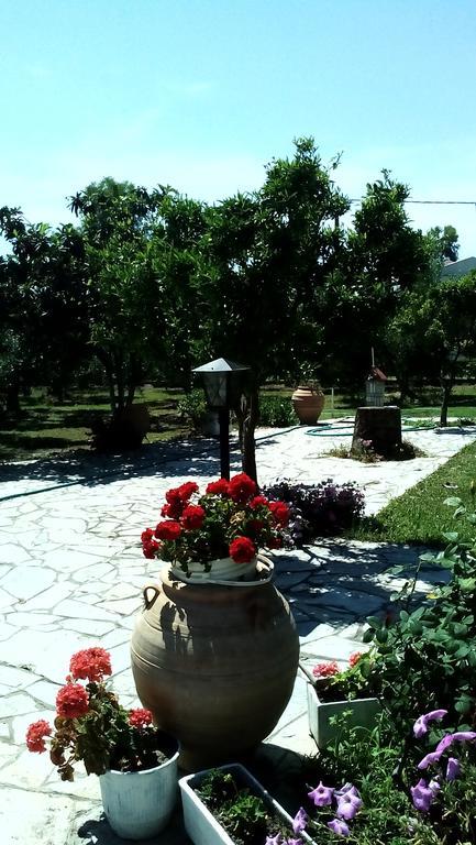 Νηρέας Διαμέρισμα Νέα Σκιώνη Εξωτερικό φωτογραφία